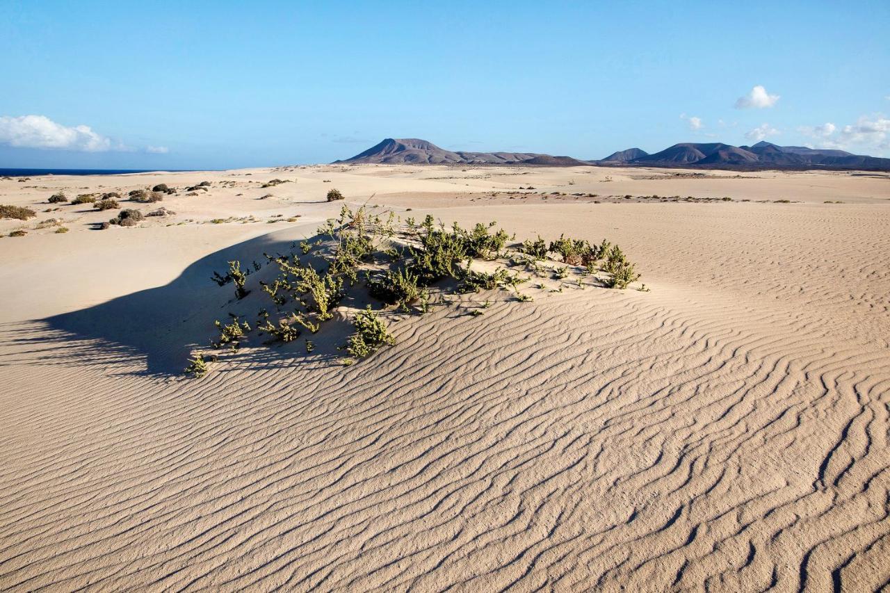 Villa Contenta Corralejo Zewnętrze zdjęcie